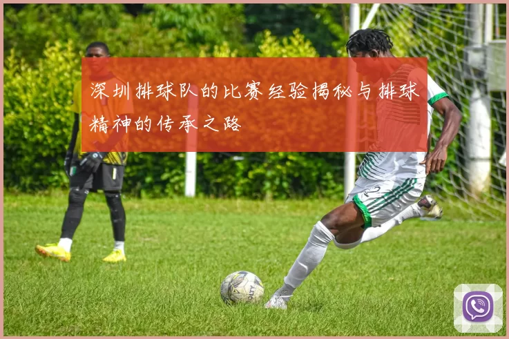 深圳排球队的比赛经验揭秘与排球精神的传承之路