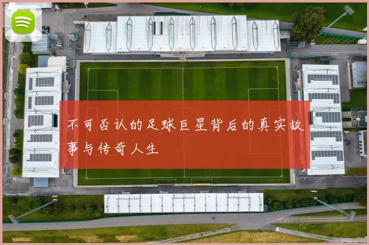 不可否认的足球巨星背后的真实故事与传奇人生