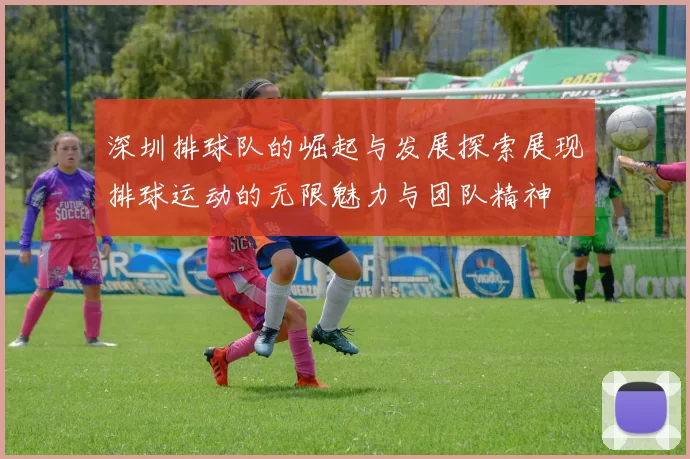 深圳排球队的崛起与发展探索展现排球运动的无限魅力与团队精神
