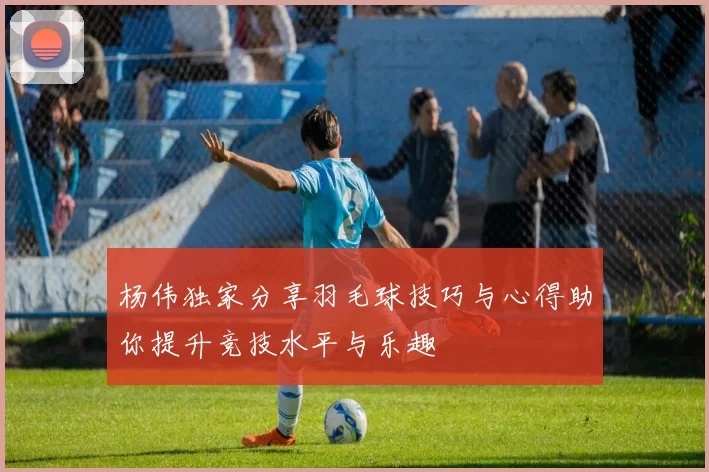 杨伟独家分享羽毛球技巧与心得助你提升竞技水平与乐趣