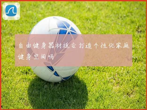 自由健身器材适合打造个性化家庭健身空间吗