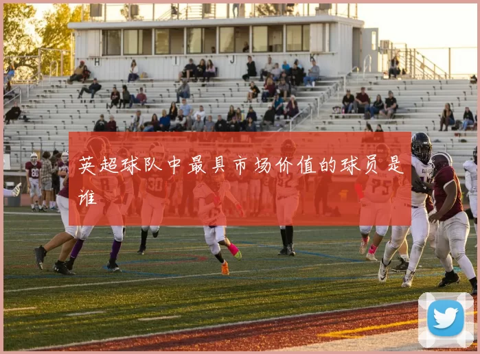 英超球队中最具市场价值的球员是谁