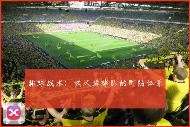 排球战术：武汉排球队的盯防体系