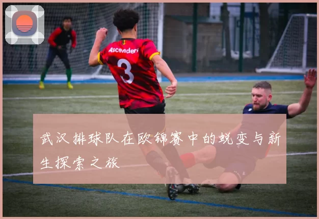 武汉排球队在欧锦赛中的蜕变与新生探索之旅