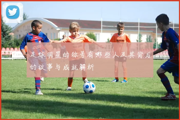 足球明星的称号有哪些人及其背后的故事与成就解析