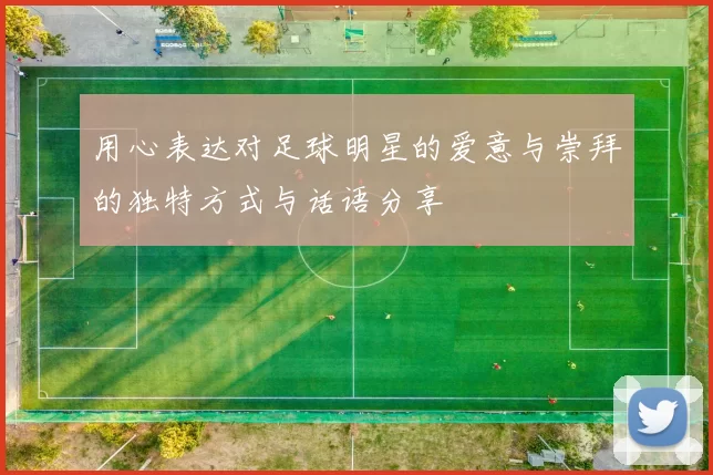 用心表达对足球明星的爱意与崇拜的独特方式与话语分享