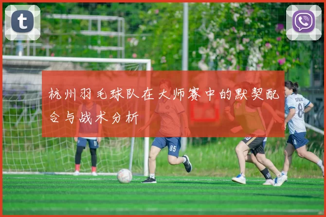杭州羽毛球队在大师赛中的默契配合与战术分析