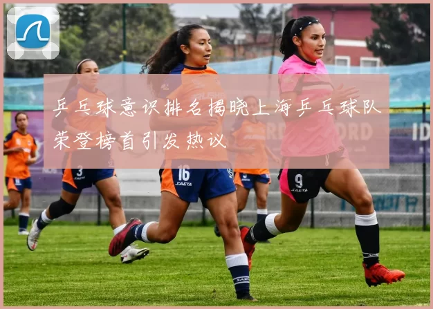 乒乓球意识排名揭晓上海乒乓球队荣登榜首引发热议