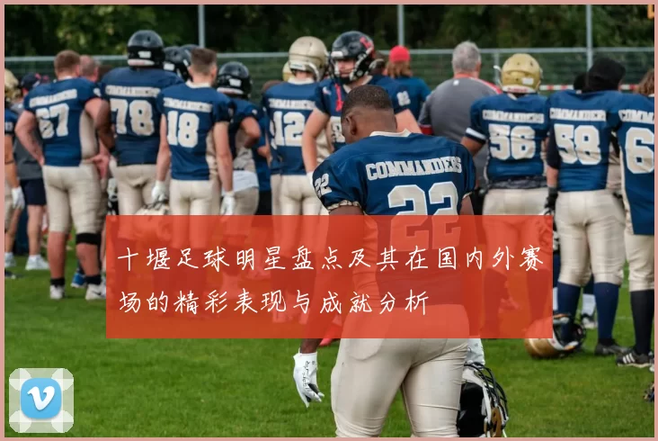 十堰足球明星盘点及其在国内外赛场的精彩表现与成就分析