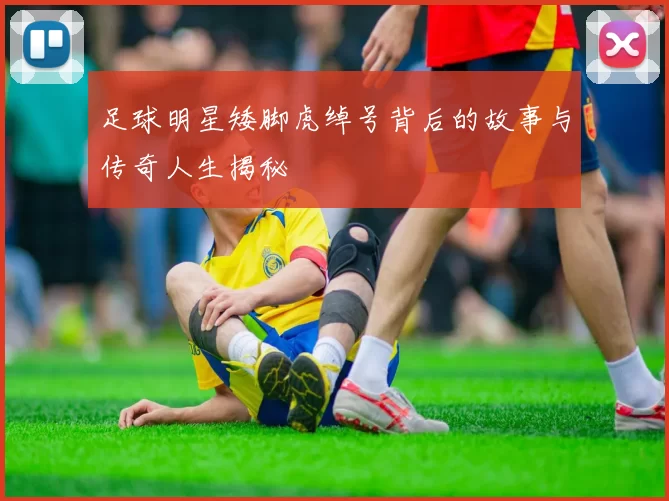 足球明星矮脚虎绰号背后的故事与传奇人生揭秘