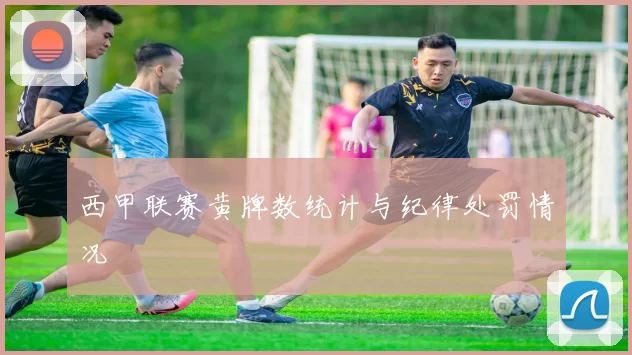 西甲联赛黄牌数统计与纪律处罚情况