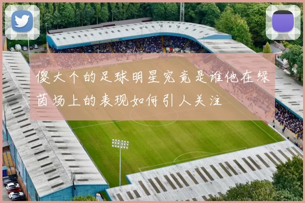 傻大个的足球明星究竟是谁他在绿茵场上的表现如何引人关注