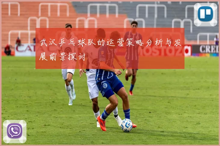 武汉乒乓球队的运营策略分析与发展前景探讨