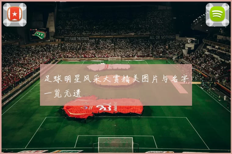 足球明星风采大赏精美图片与名字一览无遗