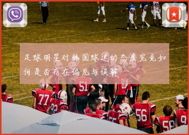 足球明星对韩国球迷的态度究竟如何是否存在偏见与误解