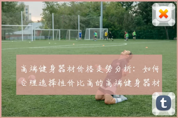 高端健身器材价格走势分析：如何合理选择性价比高的高端健身器材