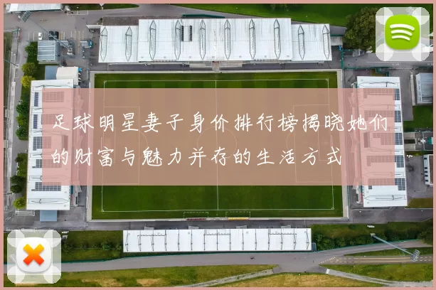足球明星妻子身价排行榜揭晓她们的财富与魅力并存的生活方式