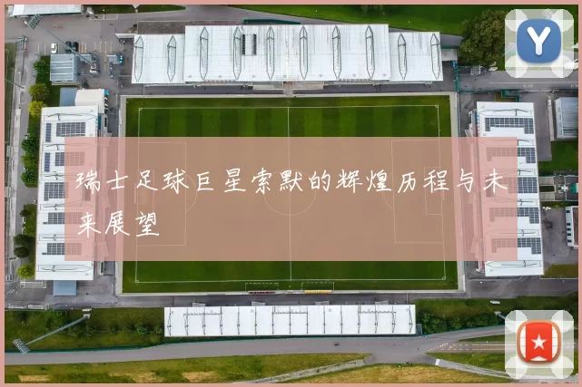瑞士足球巨星索默的辉煌历程与未来展望